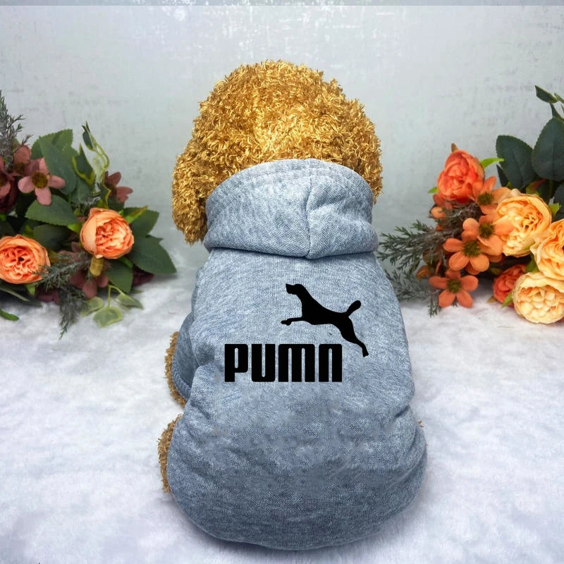 Cozy Pup Urban Hoodie