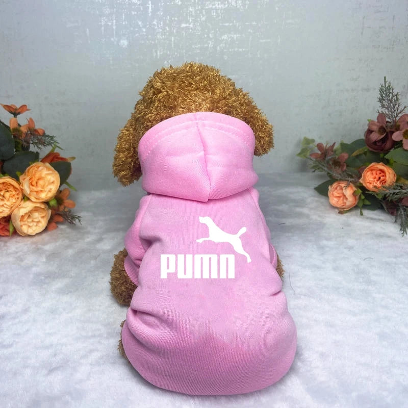 Cozy Pup Urban Hoodie