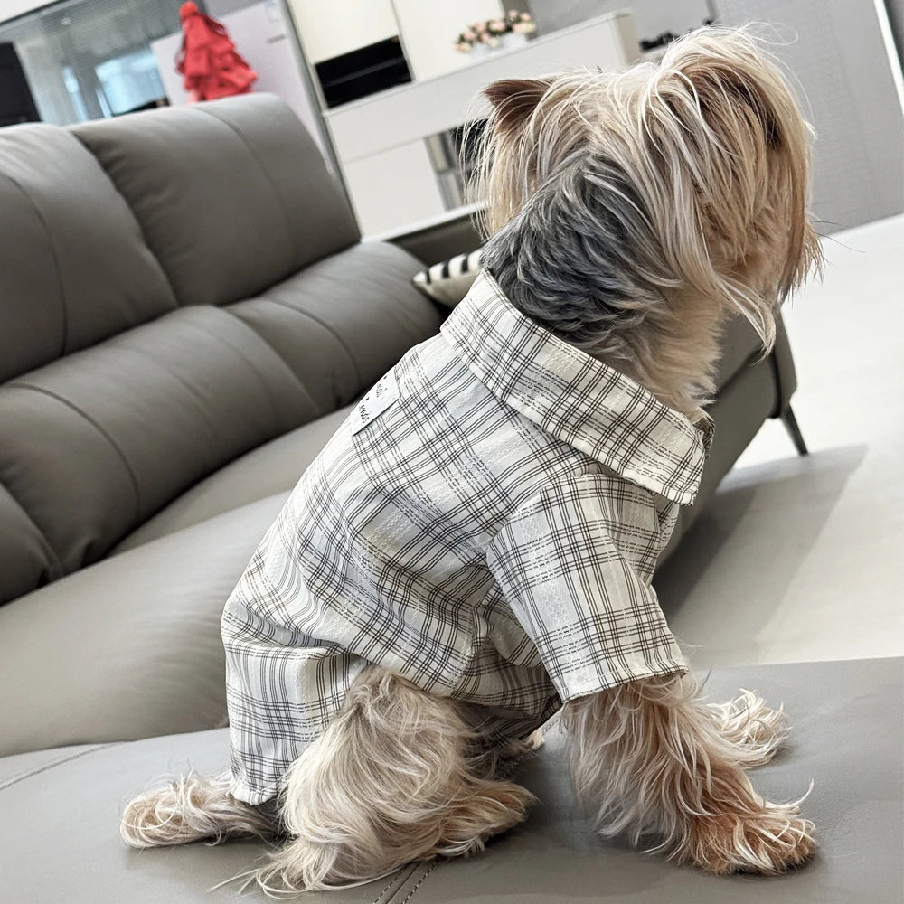 Cozy Pup Plaid Shirt.