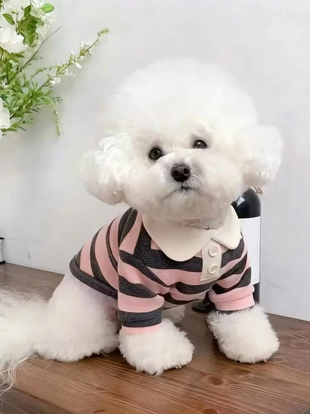 Cozy Pup Polo Shirt.