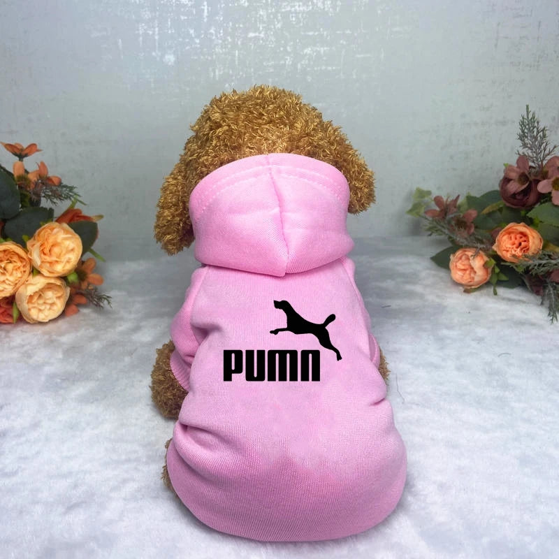 Cozy Pup Urban Hoodie
