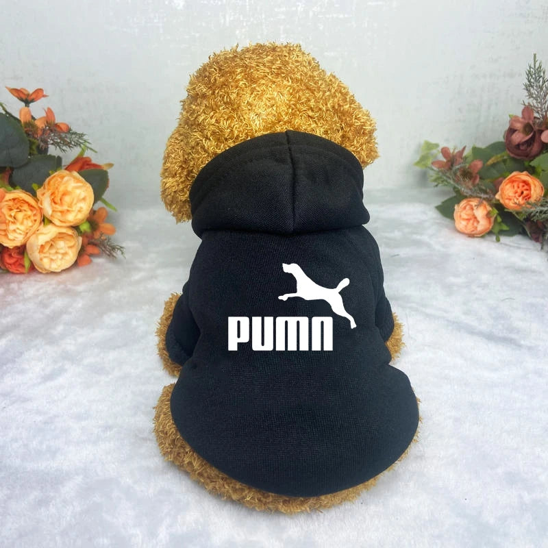 Cozy Pup Urban Hoodie