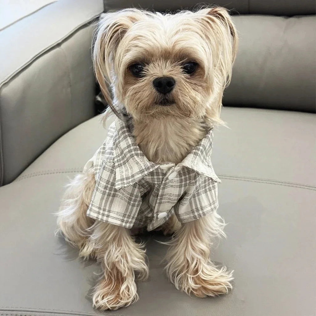 Cozy Pup Plaid Shirt.