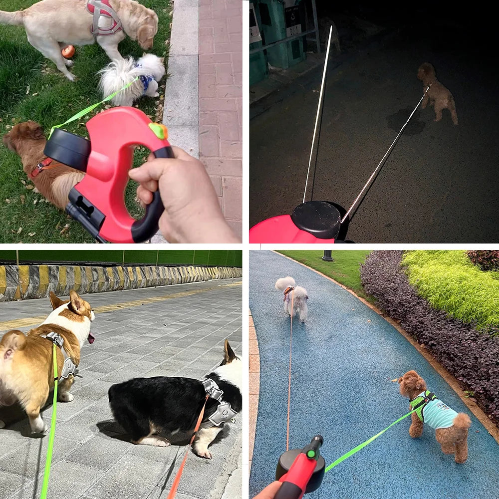 3in1 multifunctional dog leash.