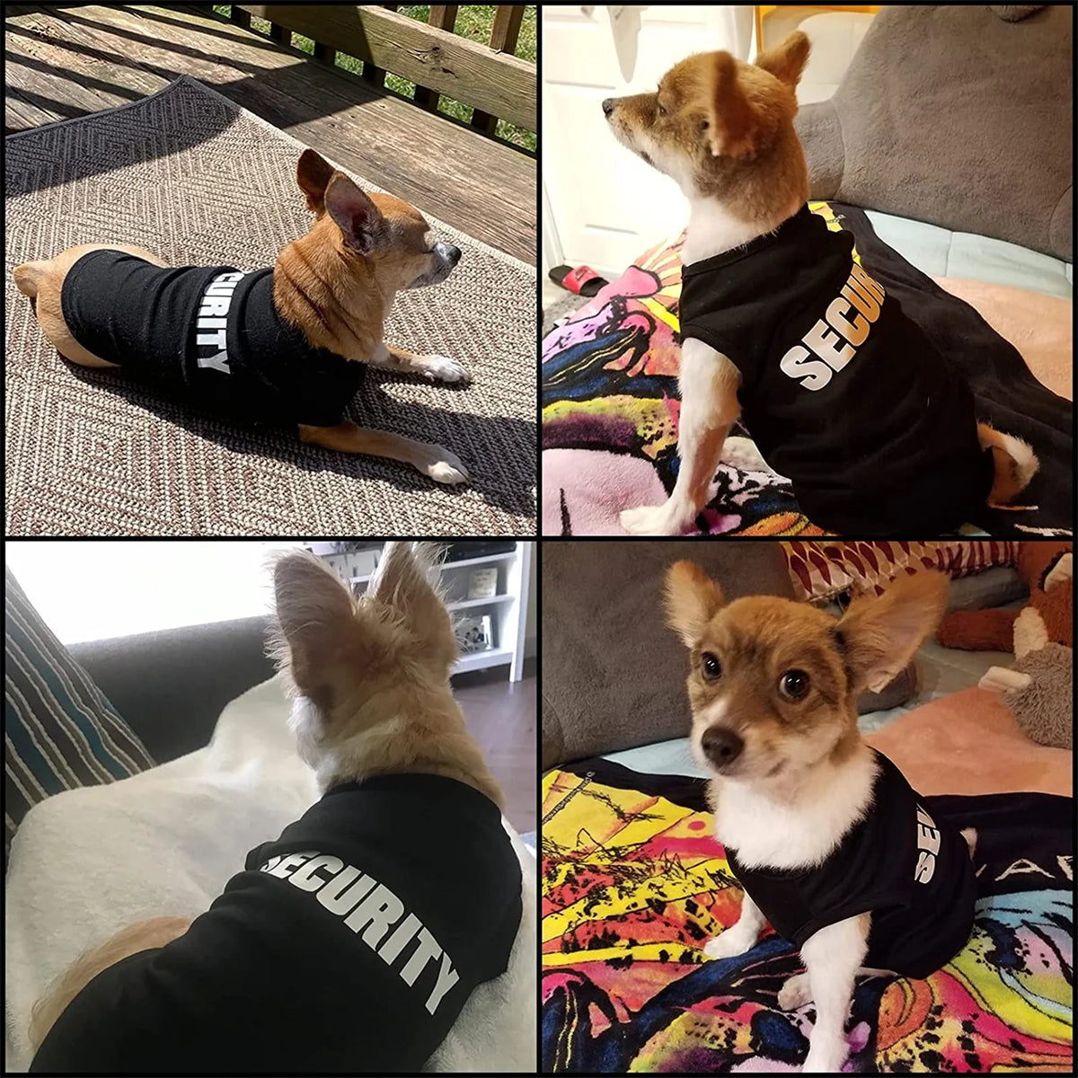 Cozy Pup Sweater.
