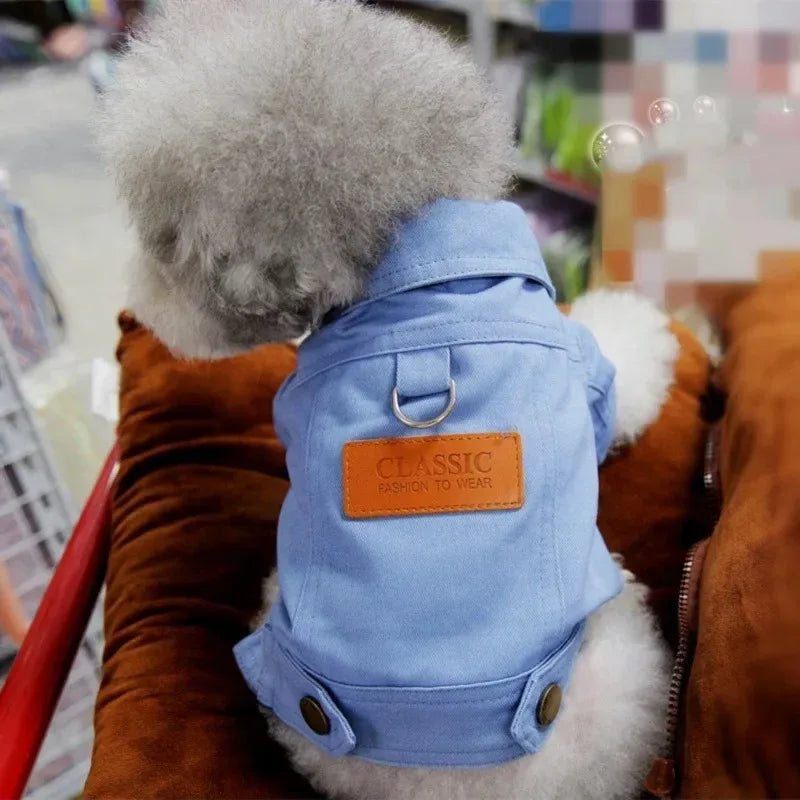 Cozy Pup Jacket
