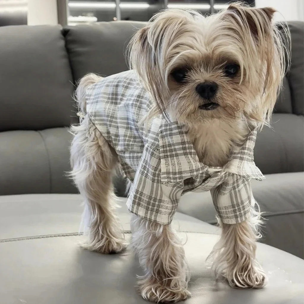 Cozy Pup Plaid Shirt.