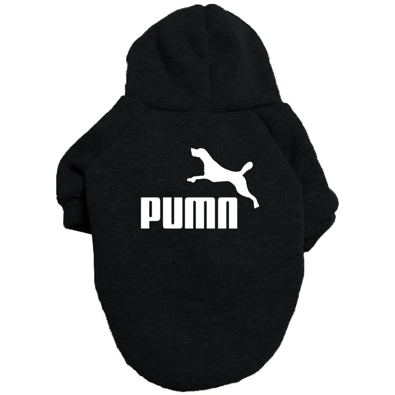 Cozy Pup Urban Hoodie