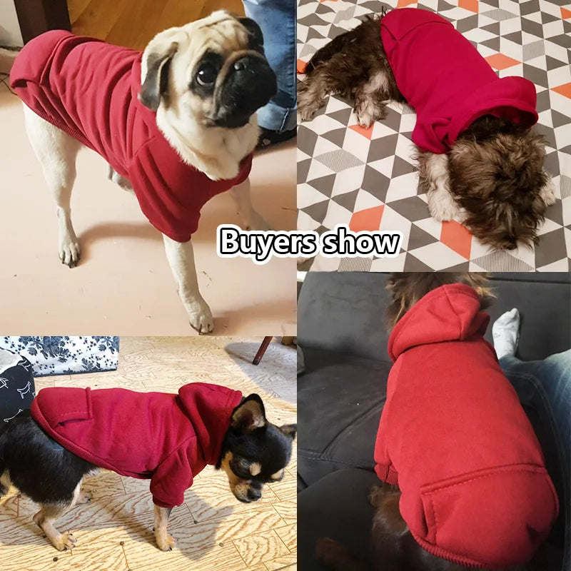Cozy Pup Hoodies