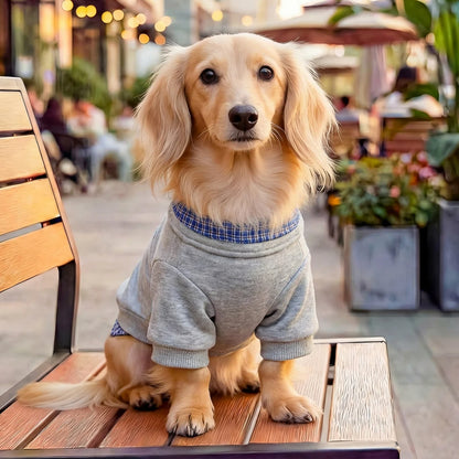 Cozy Pup Gentleman Plaid Dog Polo Shirt