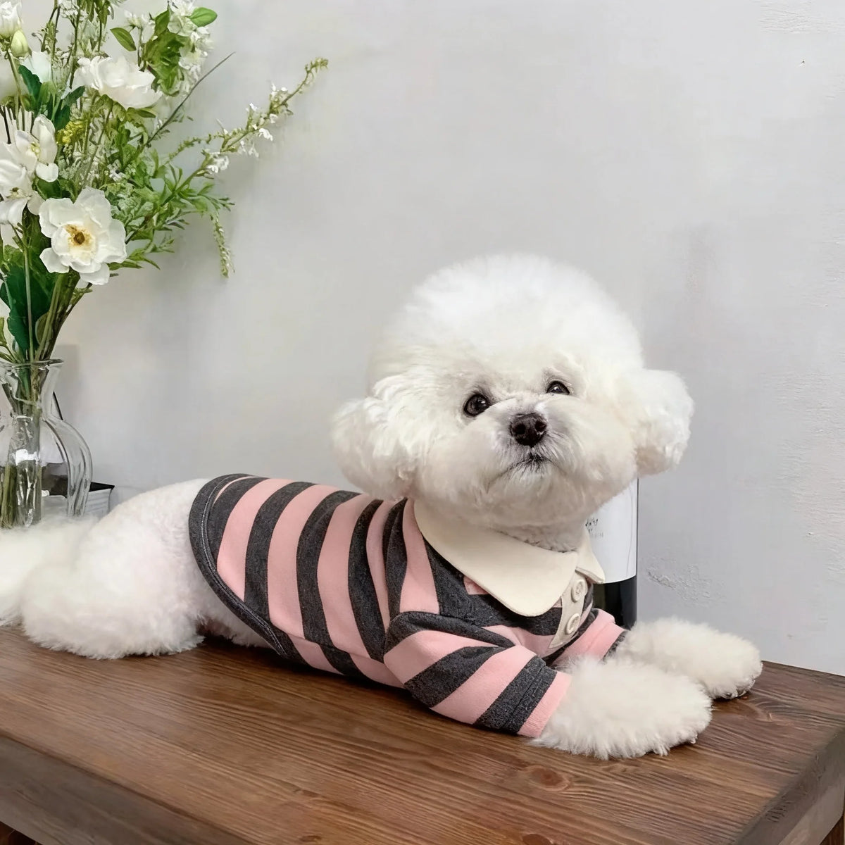 Cozy Pup Polo Shirt.