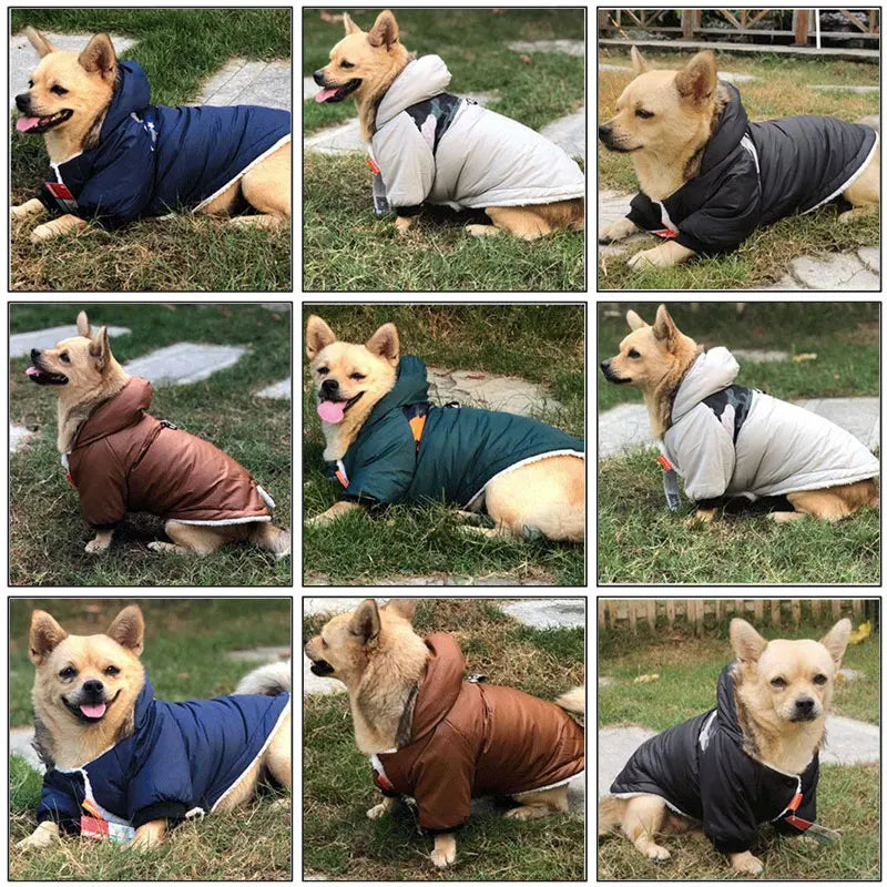 Cozy Pup Winter Waterproof Jacket.