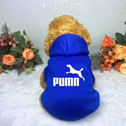 Cozy Pup Urban Hoodie