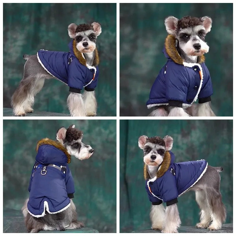 Cozy Pup Winter Waterproof Jacket. – happy paws pet supplies