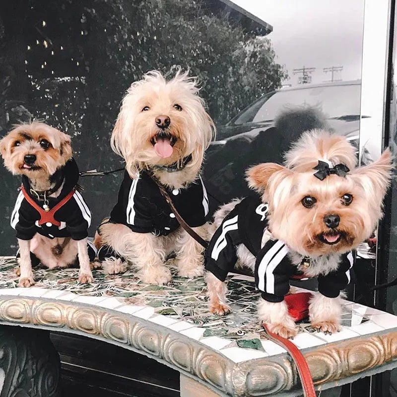 Cozy Pup Classic Bone Dog Pajamas