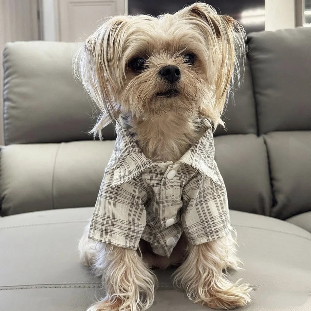 Cozy Pup Plaid Shirt.