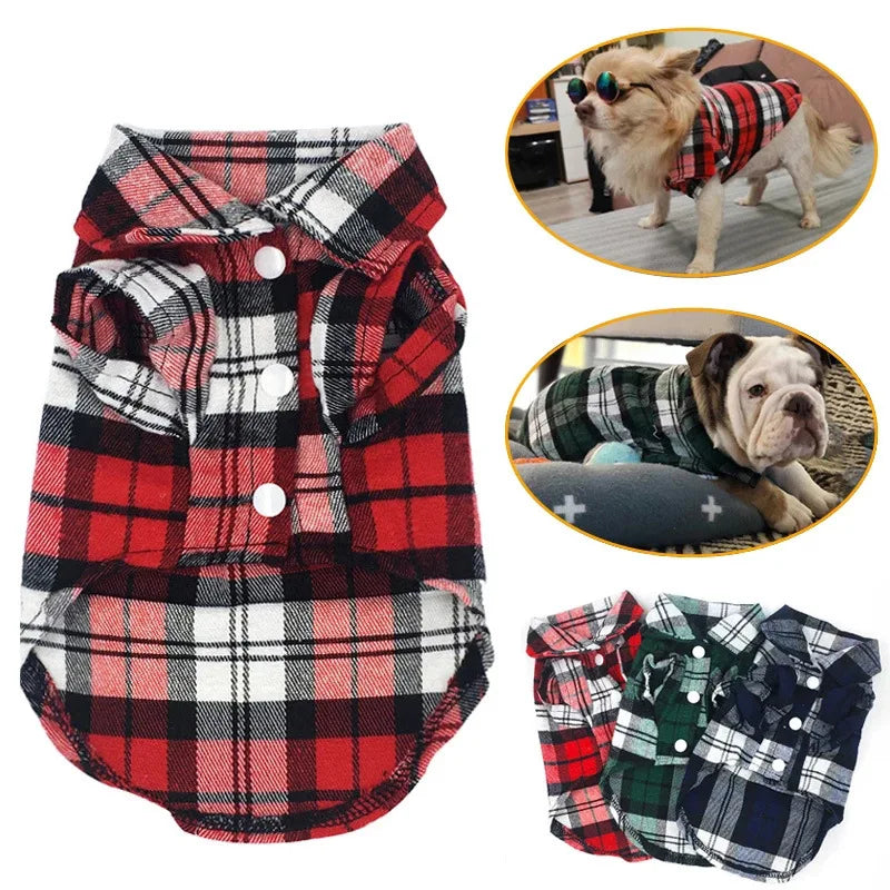 Cozy Pup Plaid Shirt.
