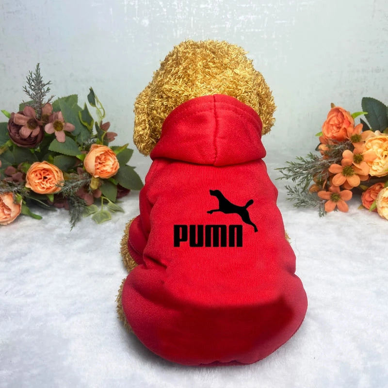Cozy Pup Urban Hoodie