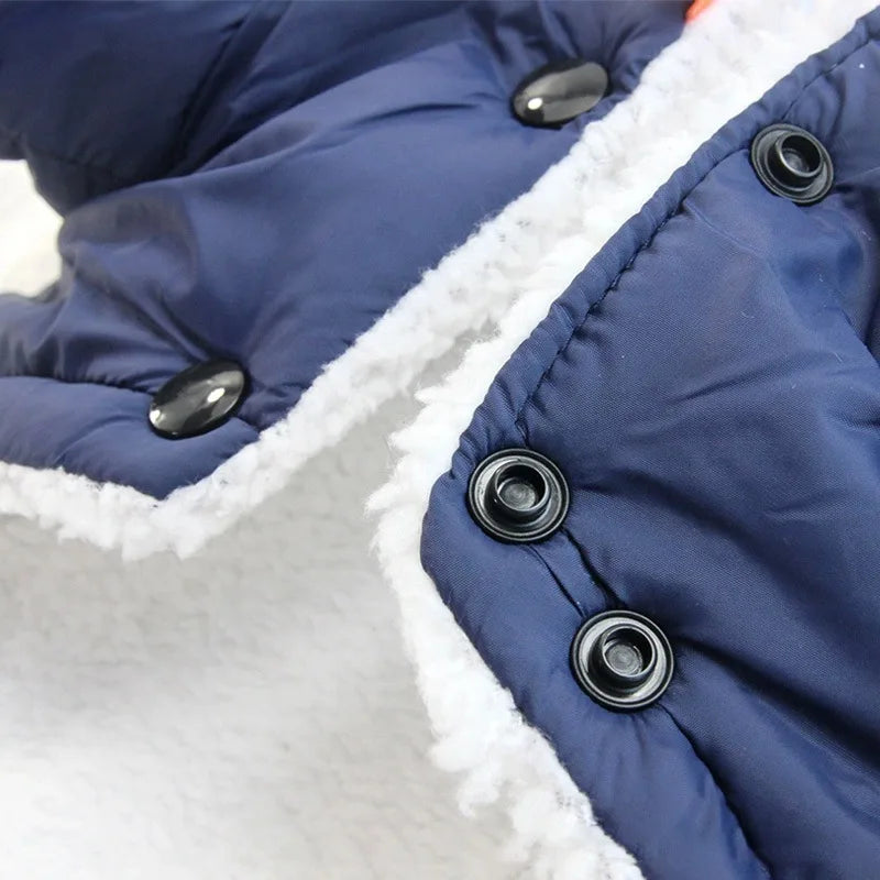 Cozy Pup Winter Waterproof Jacket. – happy paws pet supplies