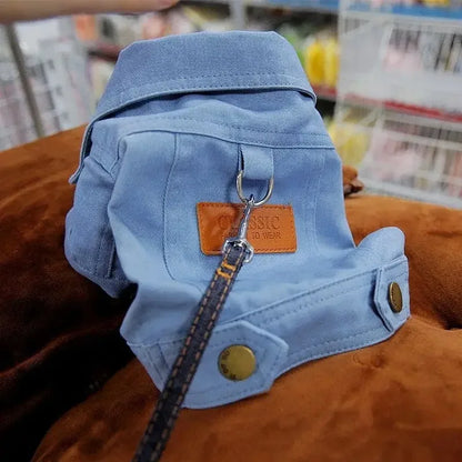 Cozy Pup Jacket