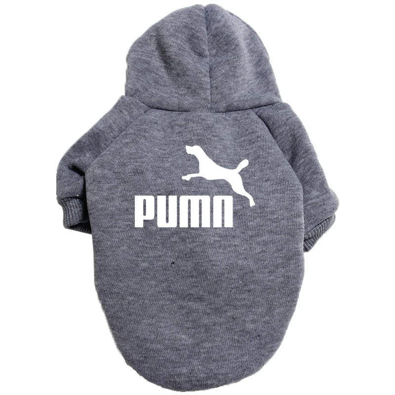 Cozy Pup Urban Hoodie