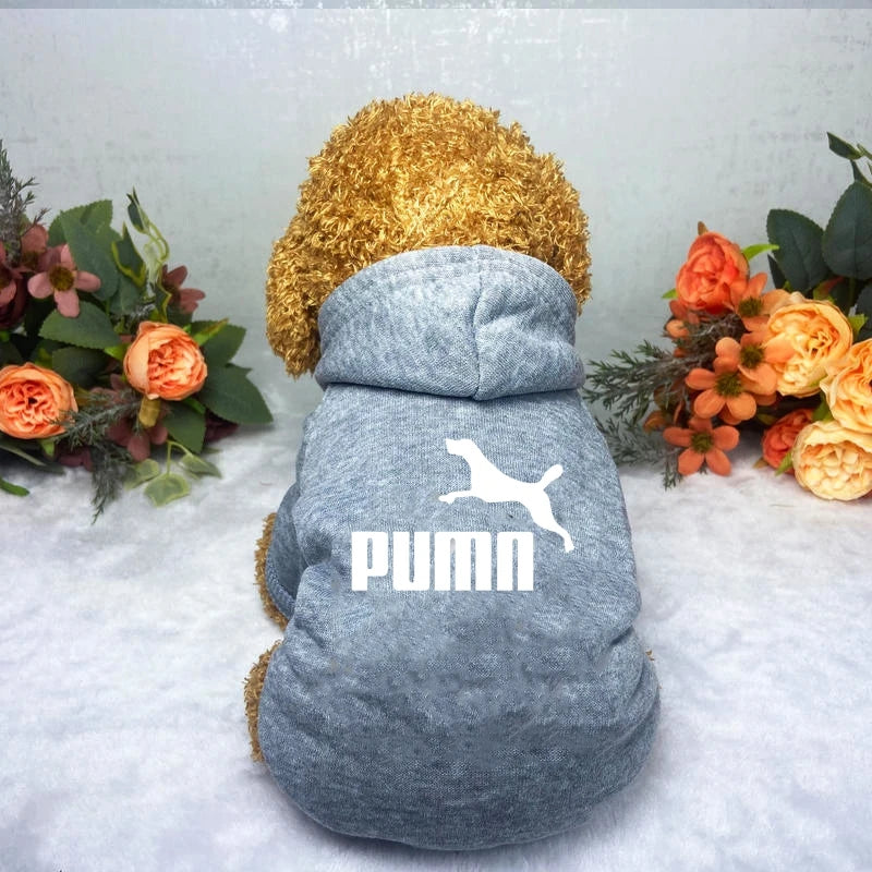 Cozy Pup Urban Hoodie