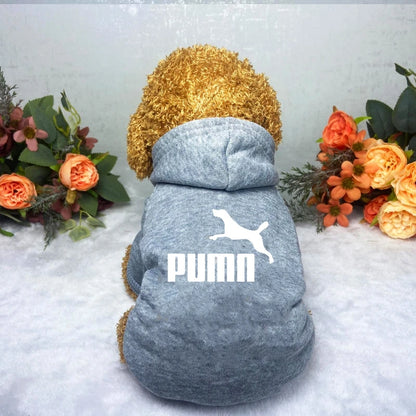 Cozy Pup Urban Hoodie