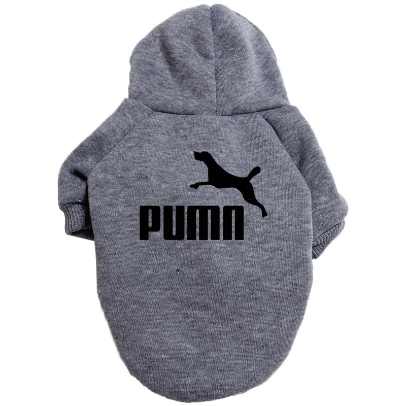 Cozy Pup Urban Hoodie