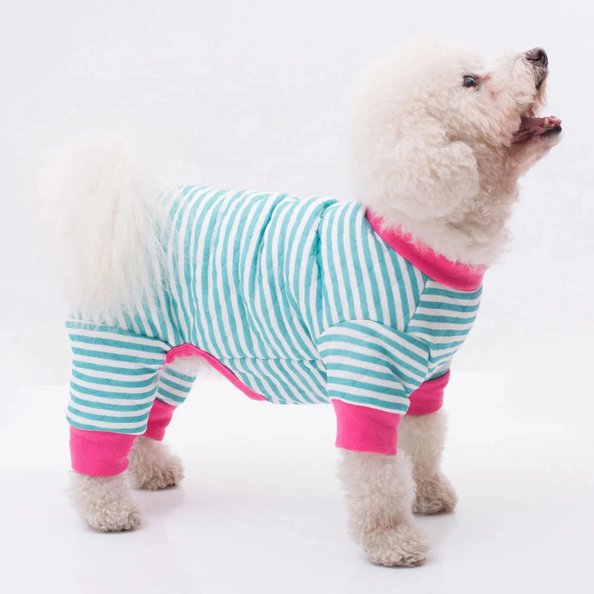 Cozy Pup Jumpsuit.