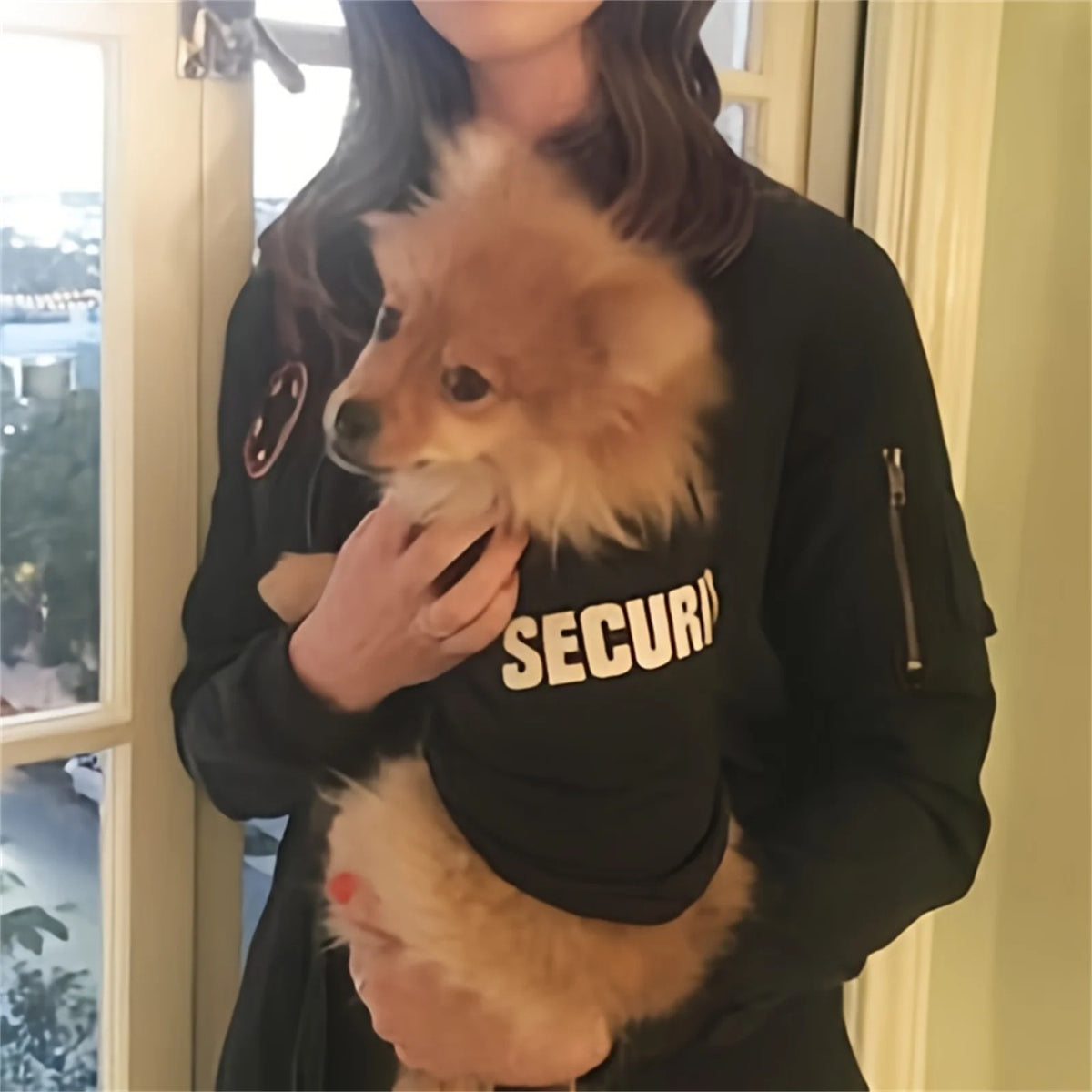 Cozy Pup Sweater.