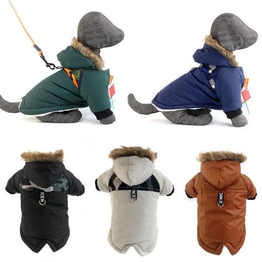 Cozy Pup Winter Waterproof Jacket.