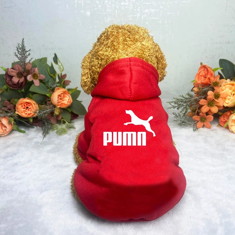 Cozy Pup Urban Hoodie