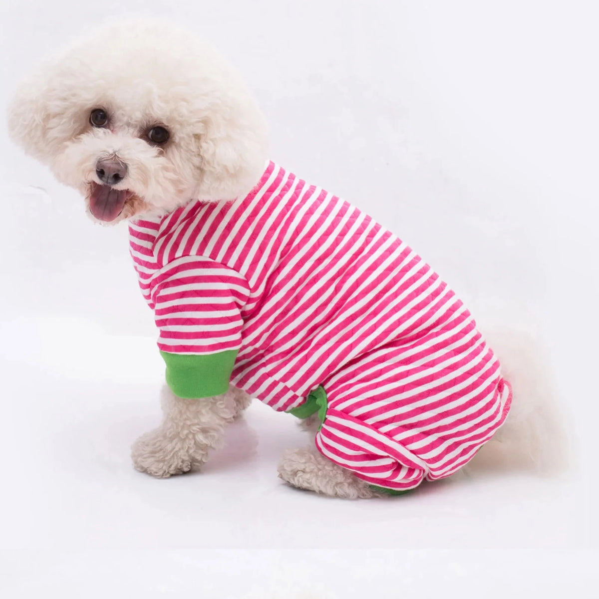 Cozy Pup Jumpsuit.