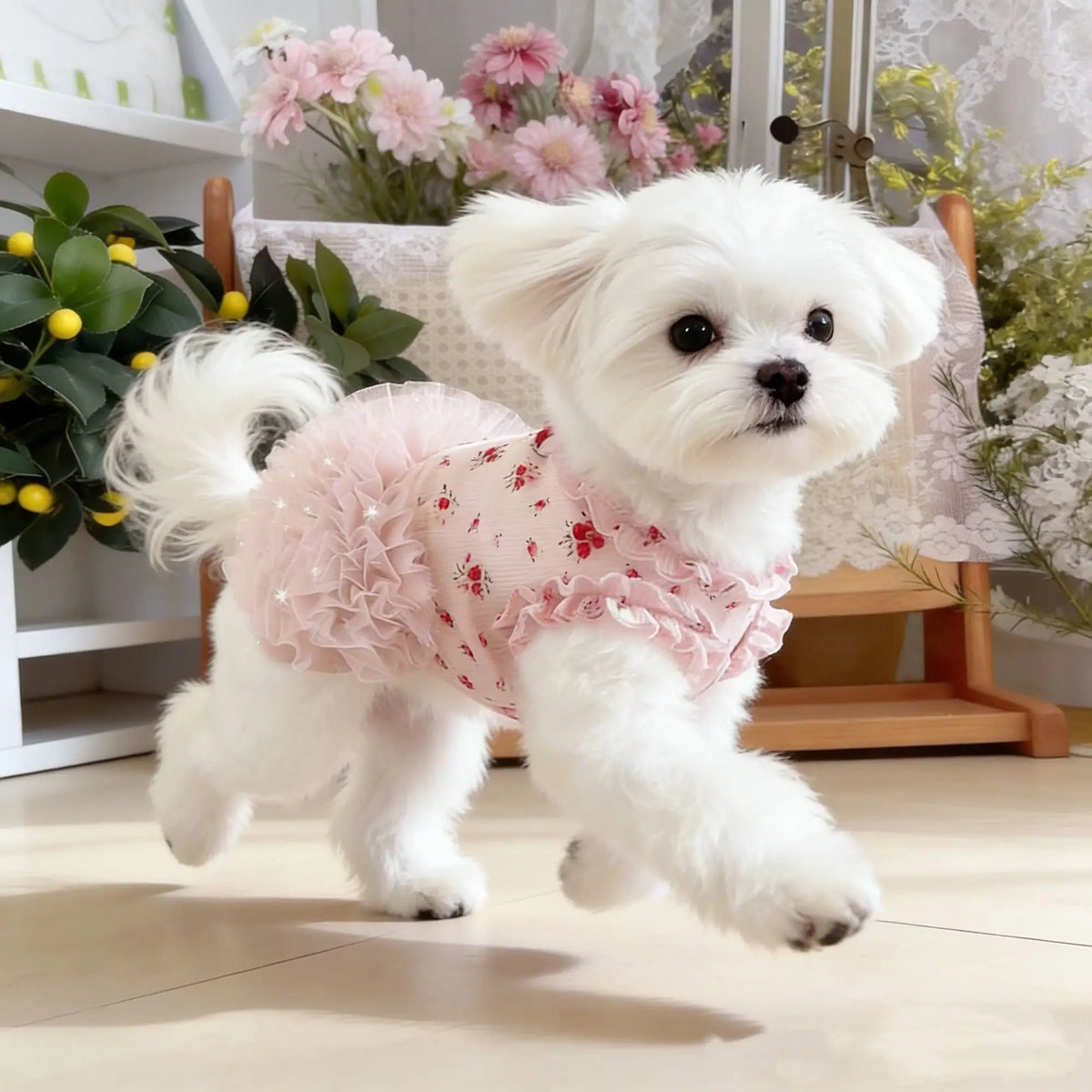Cozy Pup Skirt